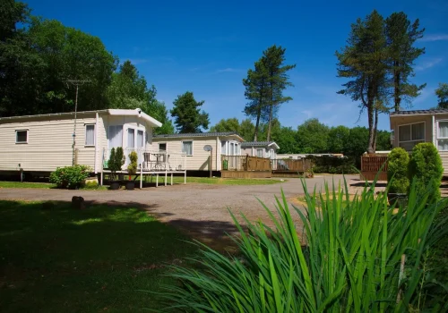 Pinegroves Country Park